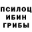 Псилоцибиновые грибы Psilocybine cubensis Swami Heisnam