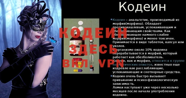 мяу мяу мука Абаза