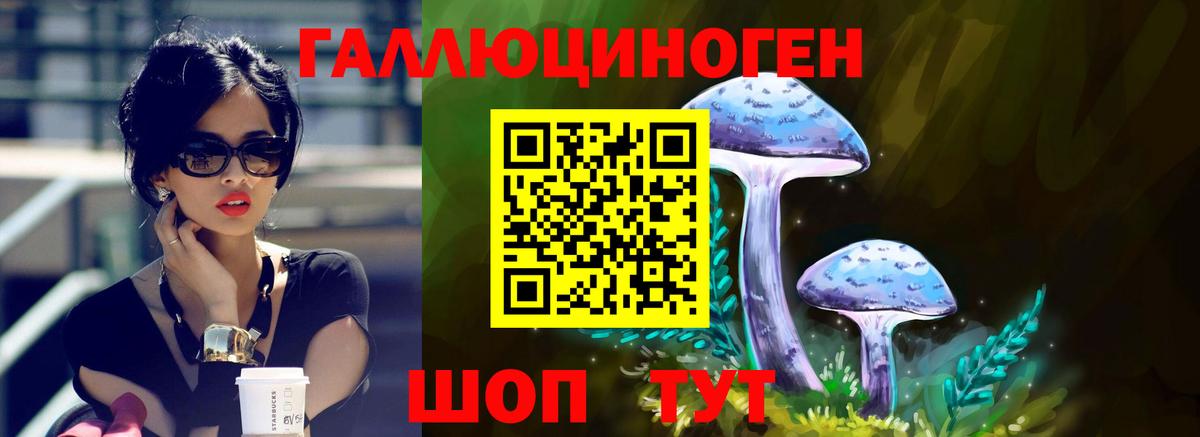 Галлюциногенные грибы MAGIC MUSHROOMS Донской